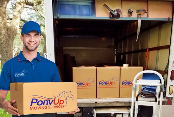pony up storage